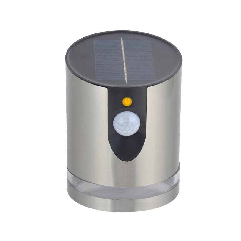 Front PIR Sensor Stainless Steel Solar Wall Light
