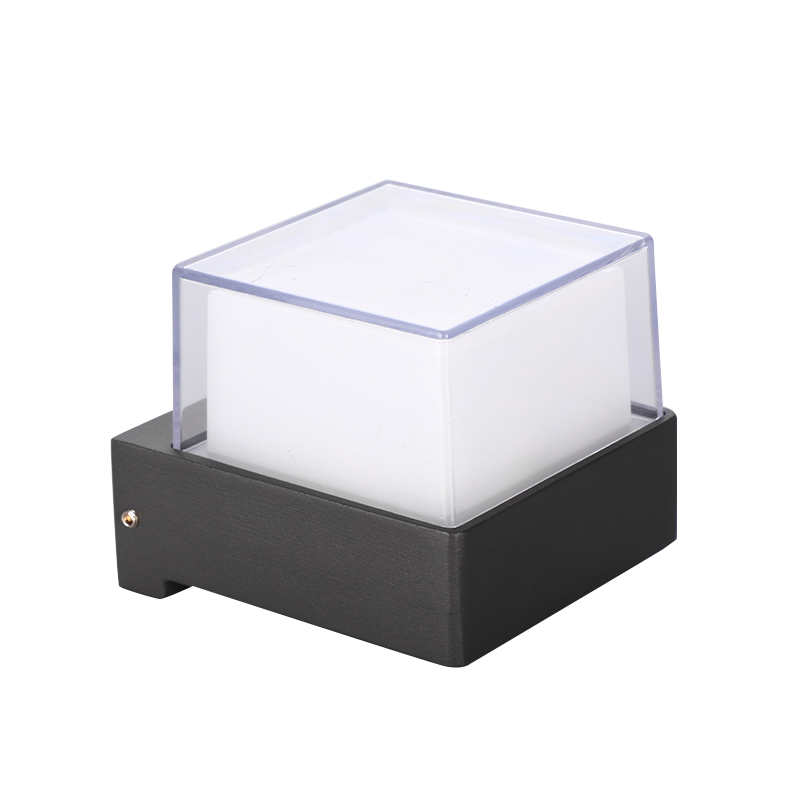 Square Cap LED Garden Wall Light with Clear Outer Shade